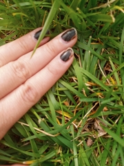 Zoysia