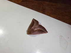 Drepanogynis legraini