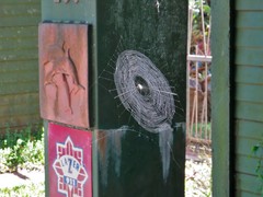 Afracantha camerunensis