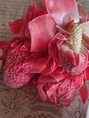 Etlingera elatior