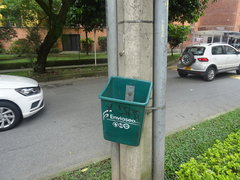 Nannotrigona