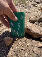 Nemacladus sigmoideus