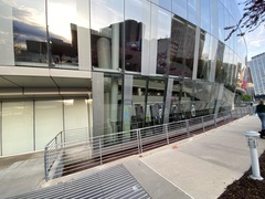 Zonotrichia albicollis