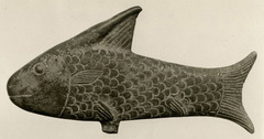 Niger Barb photo 2