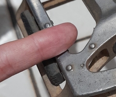 Latrodectus geometricus