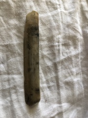 Ensis minor