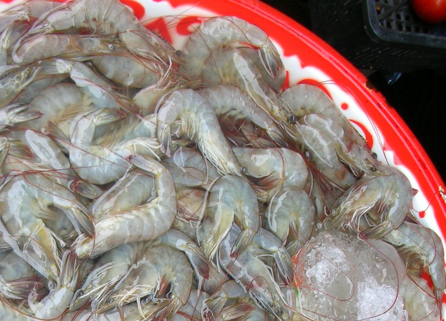 Camarón patiblanco, también conocido como camarón blanco del pacífico o  langostino. camarones vannamei en el mercado.
