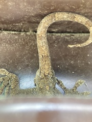 Gekko japonicus