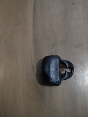 Serrognathus bucephalus