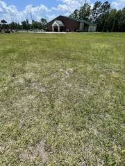 Chevreulia sarmentosa