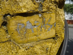 Nannotrigona