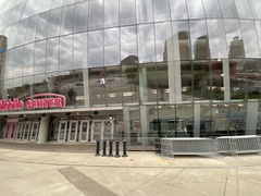 Zonotrichia albicollis