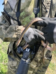 Dolichophis schmidti