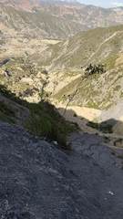 Kageneckia lanceolata