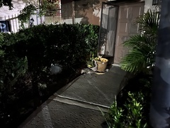 Didelphis virginiana