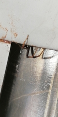 Thomisidae