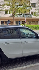 Corvus corone