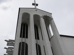 Passer domesticus domesticus