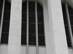 Passer domesticus domesticus