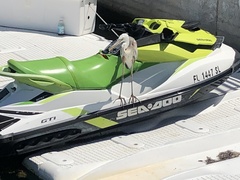 Ardea herodias occidentalis × wardi