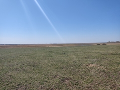 Spermophilus erythrogenys