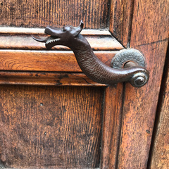 Sphaerophoria scripta