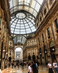 Sphaerophoria scripta