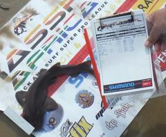 Haploblepharus fuscus