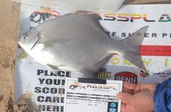 Neoscorpis lithophilus