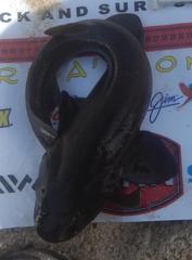 Haploblepharus fuscus