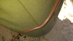 Rhinotyphlops lalandei