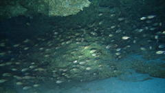 Cave Nannygai photo 1