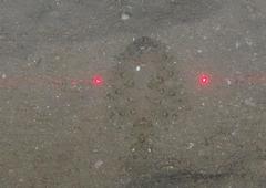 Swio Flounder photo 2
