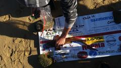 Haploblepharus fuscus