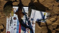 Haploblepharus fuscus