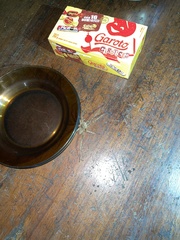 Phoneutria eickstedtae