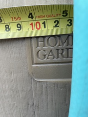 Contacyphon variabilis