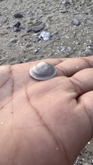 Tugali