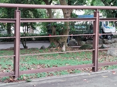 Gorsachius melanolophus