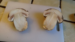 Agaricus lilaceps