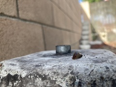 Ambigolimax valentianus