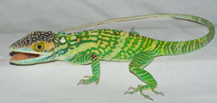 Anolis smallwoodi