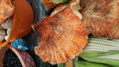 Laetiporus sulphureus