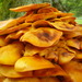 Jack-o'-lantern Mushrooms - Photo (c) Chris, some rights reserved (CC BY-NC-ND)
