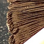 Coprinellus