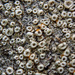 Bark Barnacles - Photo (c) David Akers, some rights reserved (CC BY-NC), uploaded by David Akers