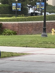 Baeolophus inornatus