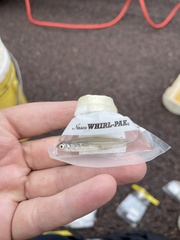 Notropis atherinoides