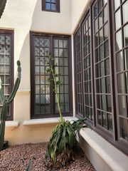 Agave