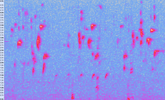 Hemixos castanonotus